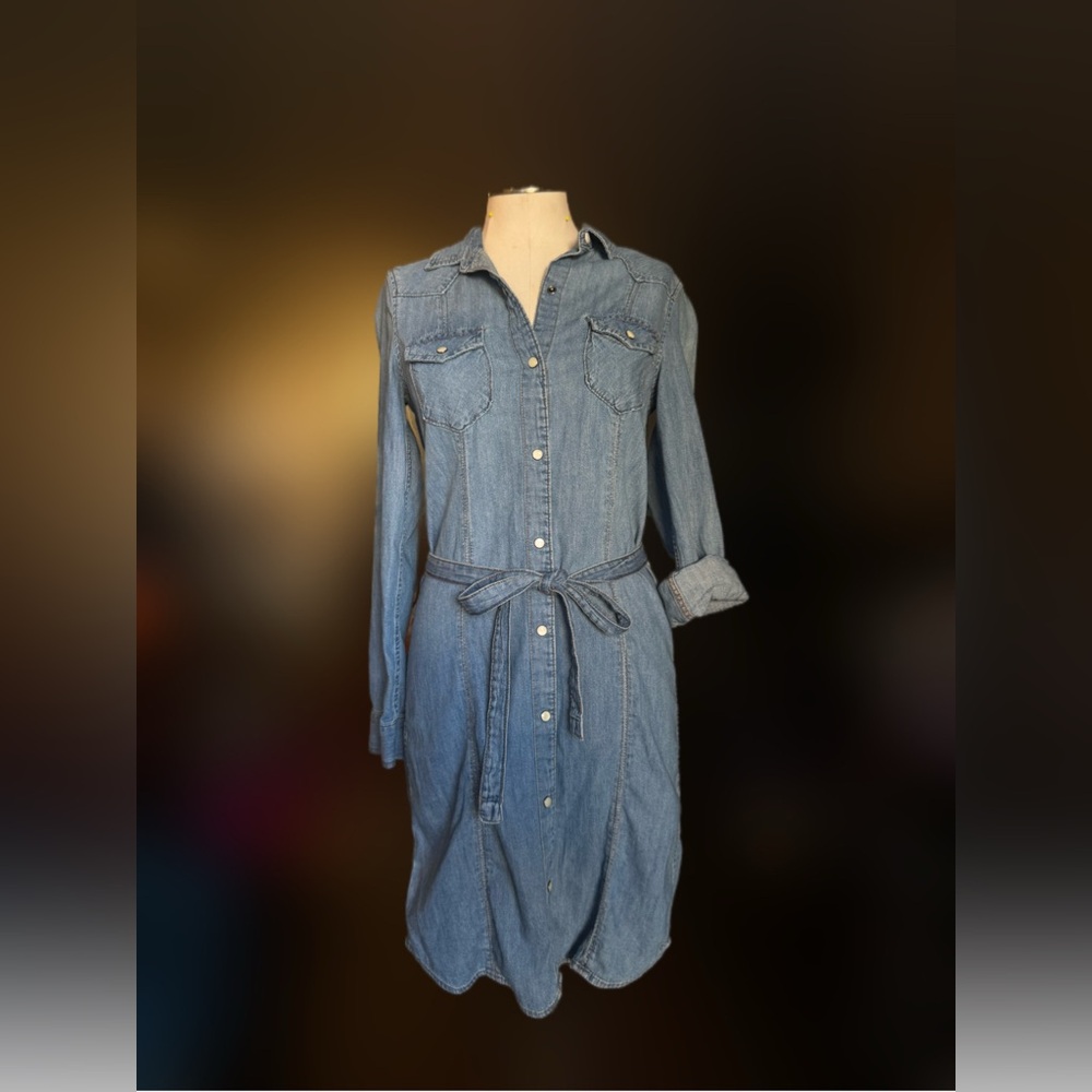 Gap 1969 denim rodeo retro dress with mother of pearl buttons